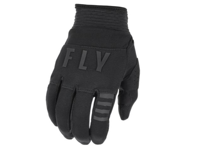 Перчатки Fly Racing F-16 (2022) (черный)