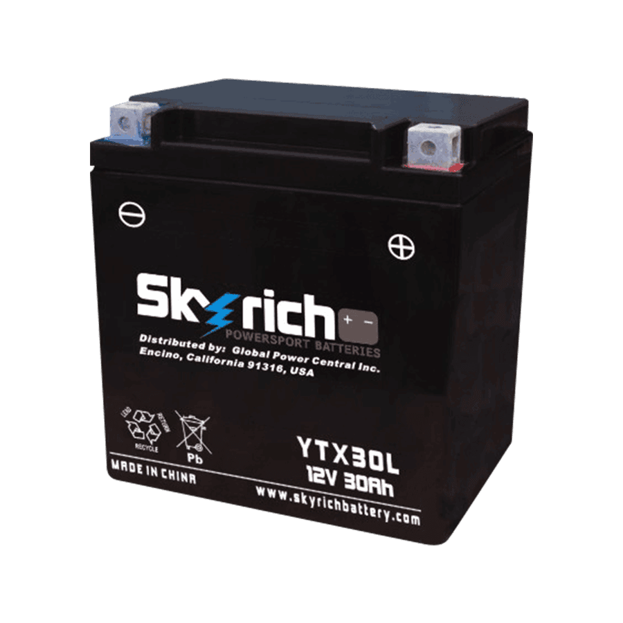 Аккумулятор Skyrich YTX30L-BS (YIX30L-BS) BTX30L-BS
